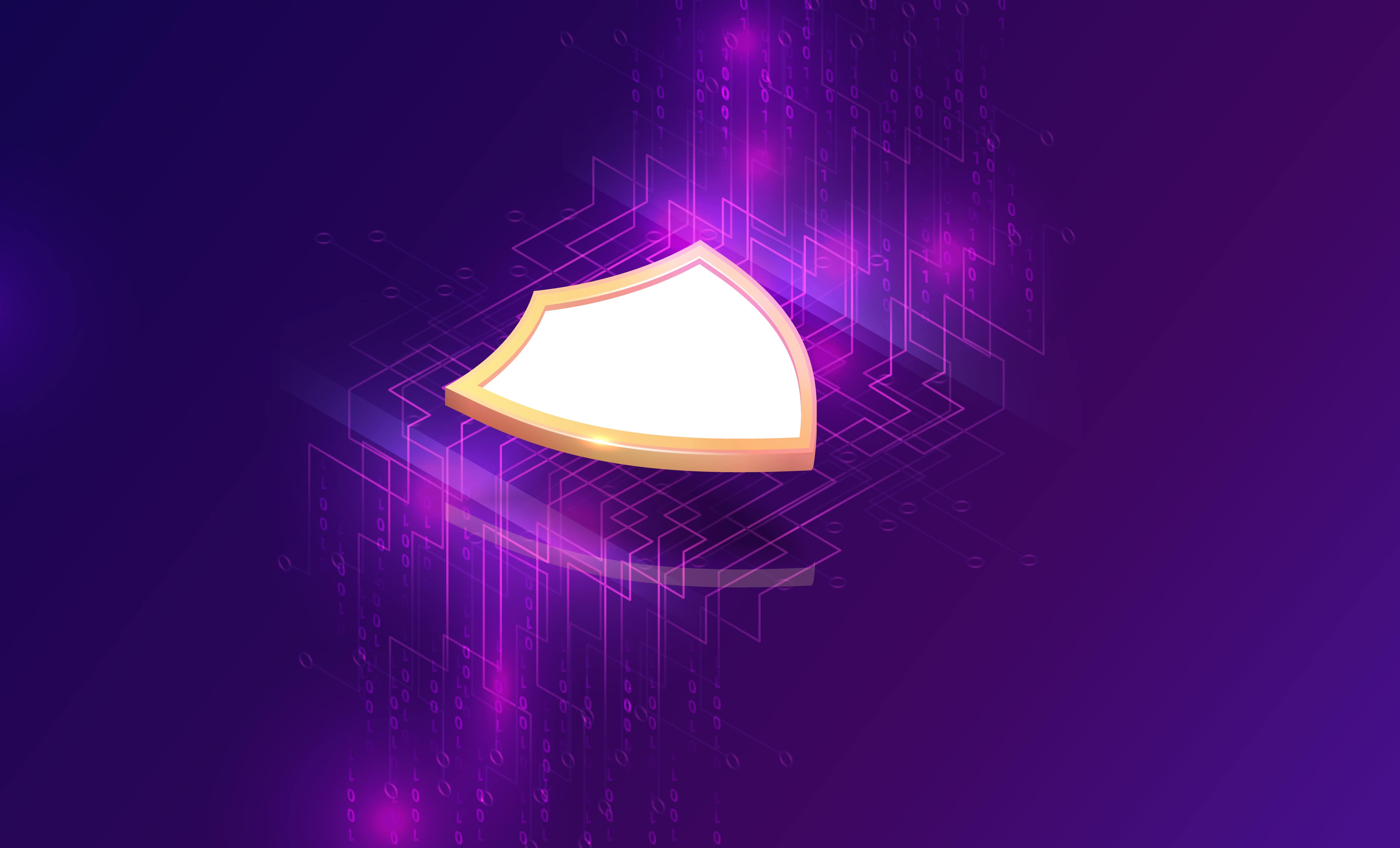 Security & Dev Background